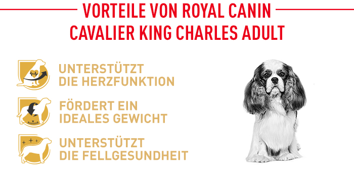 royal_canin_cavalier_king_charles_vorteile.jpg