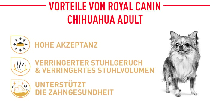 royal_canin_chihuahua_adult_vorteile.jpg