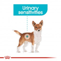 ROYAL CANIN Urinary Care MINI Trockenfutter für kleine Hunde mit empfindlichen Harnwegen