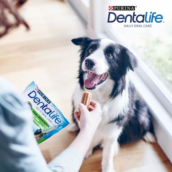 Purina DentaLife Tägliche Zahnpflege-Snacks für mittelgroße Hunde Maxipack