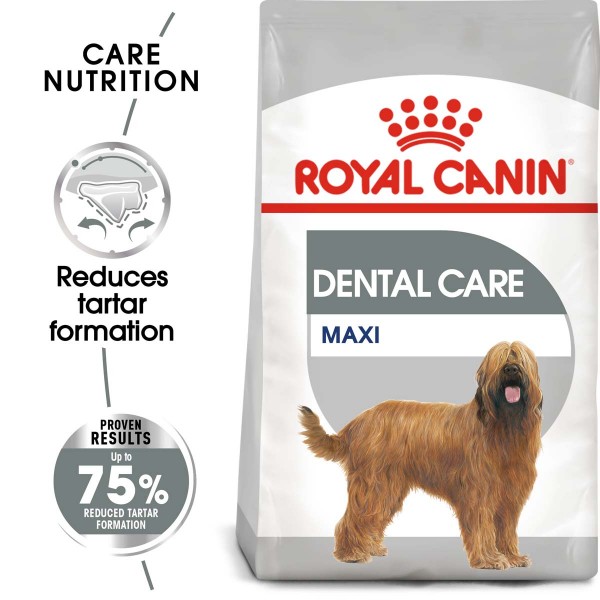 ROYAL CANIN DENTAL CARE MAXI Trockenfutter für große Hunde mit empfindlichen Zähnen