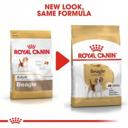 ROYAL CANIN Beagle Adult