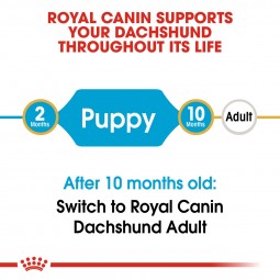 Royal Canin Dachshund Junior, 1,5 kg