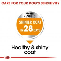 ROYAL CANIN COAT CARE MINI Trockenfutter für kleine Hunde für glänzendes Fell