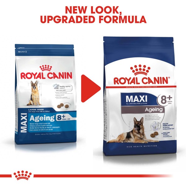 ROYAL CANIN MAXI Ageing 8+ Trockenfutter für ältere große Hunde