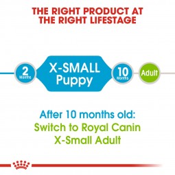 ROYAL CANIN X-Small Puppy 1,5kg + Mini Puppy in Soße 12x85g