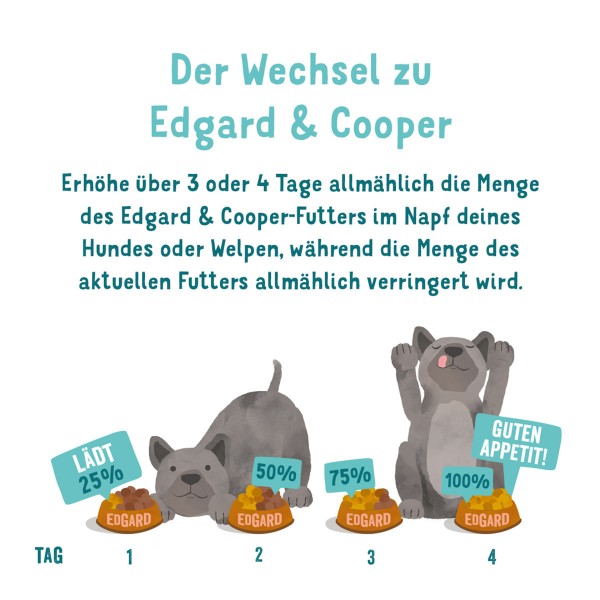 Edgard & Cooper Junior Lachs & Truthahn